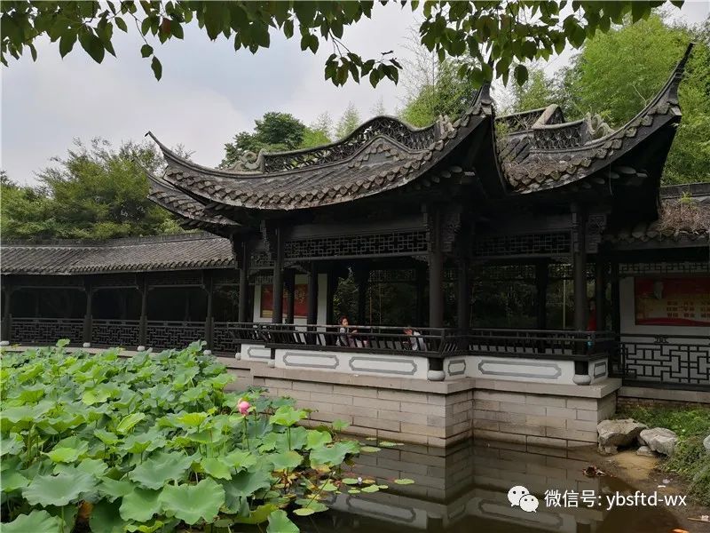 自驾游江苏泰州万竹园