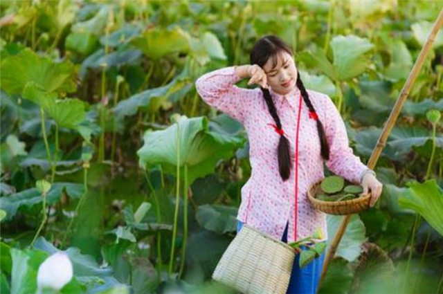 欧阳修的渔家傲三首,写了最美的渔家女,莲花诗