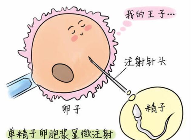 正常人做试管婴儿成功率是多少 腾讯新闻