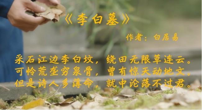 白居易|有人说白居易看不起李白，白居易用一首诗啪啪打脸