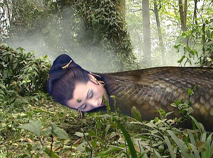 妖精|神魔世界里的“高考”，到底有多残酷？