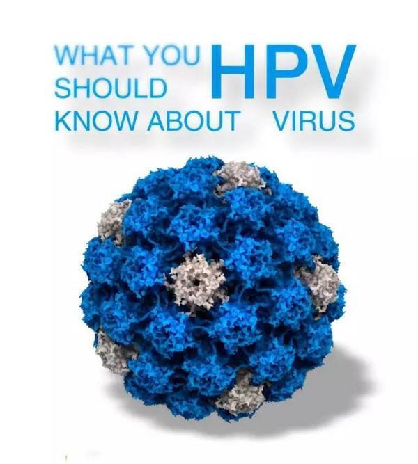 hpv|HPV疫苗你了解多少呢？