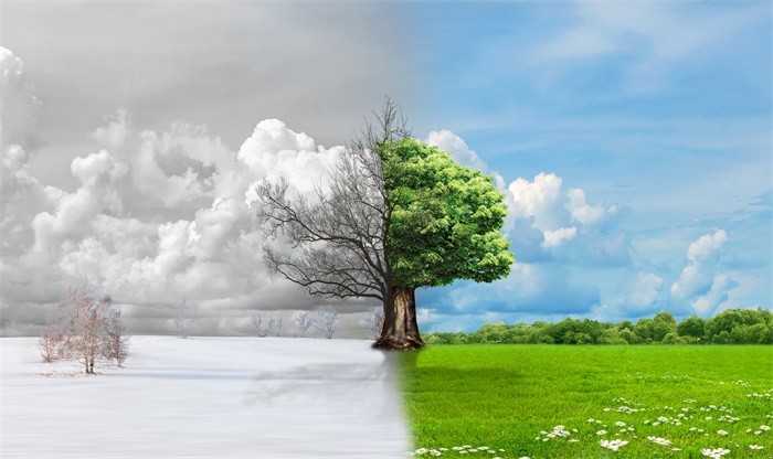 心脏|科学家在心脏细胞内发现有毒金属纳米颗粒，致一名年仅3岁的幼儿心脏受损