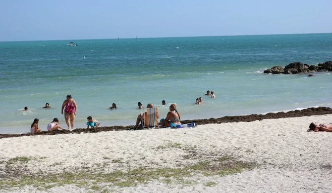 新冠|死亡率超97％！美国现食脑虫，感染症状类似新冠，发病14天内死亡