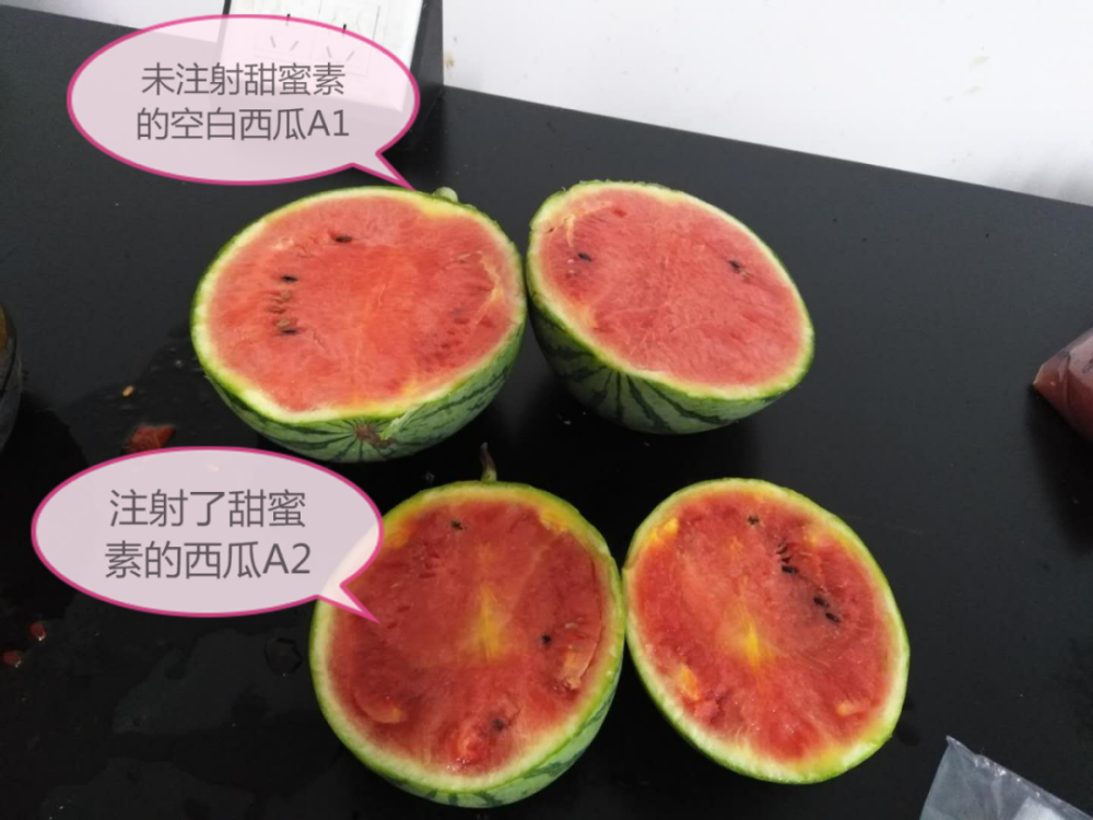 甜蜜素|西瓜太甜是因为注射了“甜蜜素”？看完实验后，傻眼了……