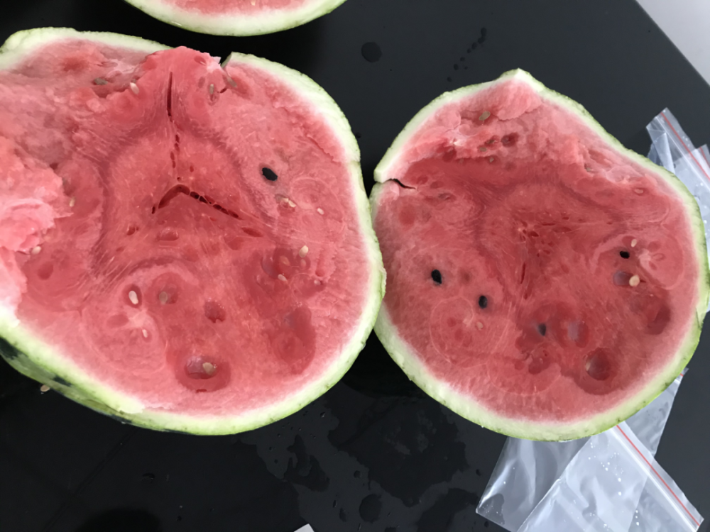甜蜜素|西瓜太甜是因为注射了“甜蜜素”？看完实验后，傻眼了……