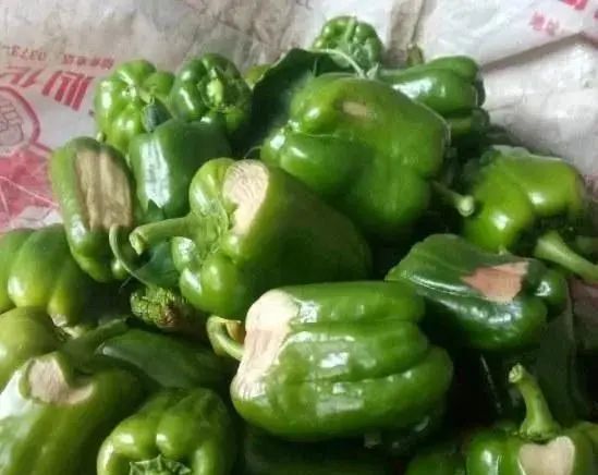 蔬菜|高温强光又多雨，蔬菜如何跨过重重“障碍”？