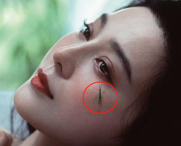 范冰冰|范冰冰拍的港风大片有多牛？明明是特效，粉丝却以为是实景拍摄