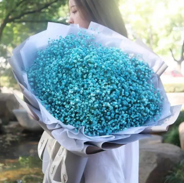 灵签占卜选出最喜欢的满天星测你在班里是班花学霸还是学渣