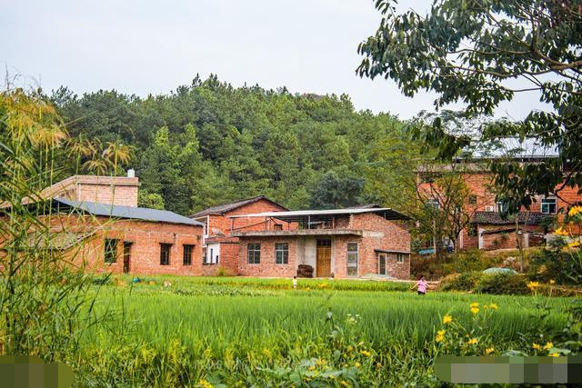 农村宅基地和土地确权后非农业户口的子女是否可以继承和买卖很简单