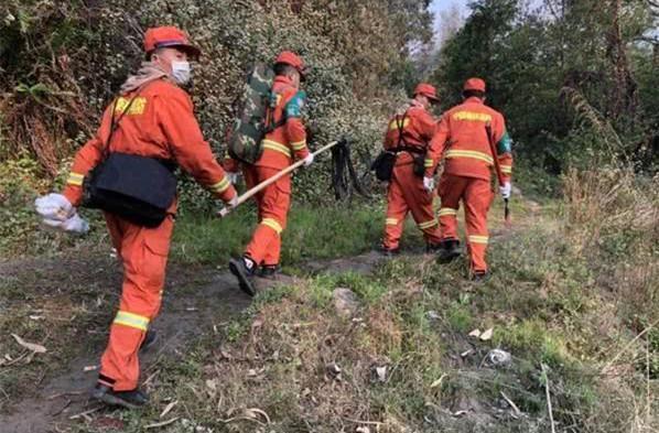 要求西昌市全面清除林下可燃物和開設重點區域防火隔離帶