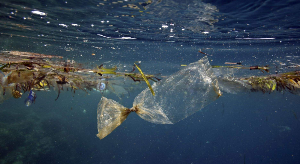 探测器|探测器下潜10926米，眼前一幕引人深思，专家：人类必须警惕