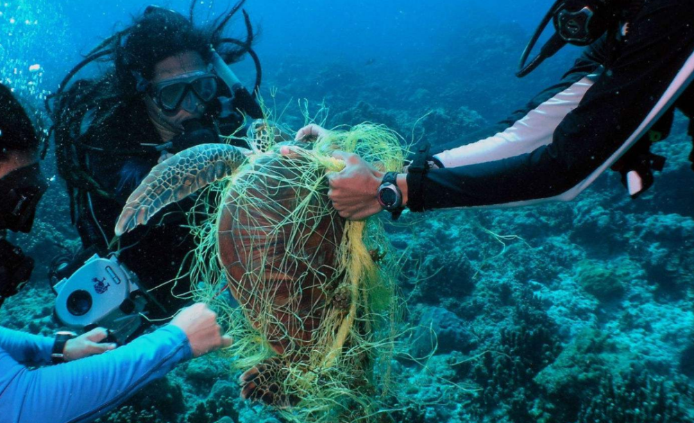 探测器|探测器下潜10926米，眼前一幕引人深思，专家：人类必须警惕