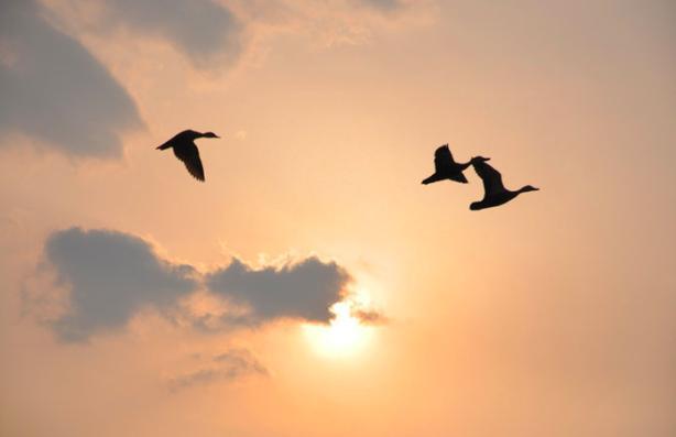 李煜|李煜病中写下一诗，道尽一生悲凉，仅开篇两句，便催人泪下