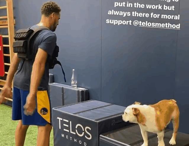 精神股东,汤普森携爱犬rocco训练,调侃:他只精神支持不使劲