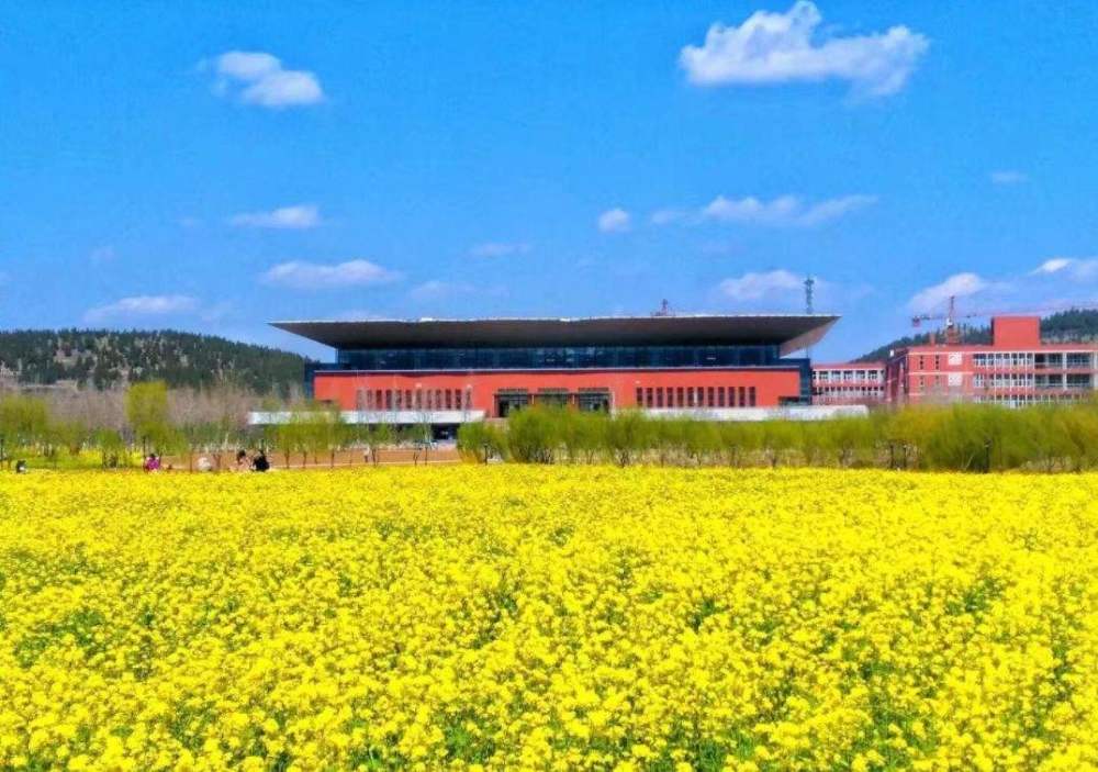 2020年德州市山东交通学院成人高考报名