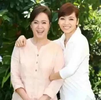 林月云|侯佩岑母亲林月云的上位史