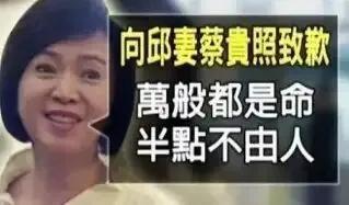 林月云|侯佩岑母亲林月云的上位史