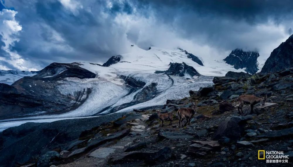 阿尔卑斯山脉|阿尔卑斯山“流血”了？