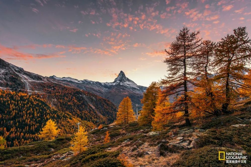 阿尔卑斯山脉|阿尔卑斯山“流血”了？