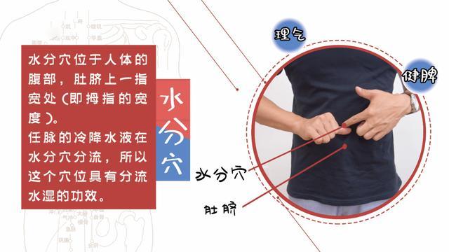 虚胖体质如何顺利减肥,中医专家:试试穴位 食疗