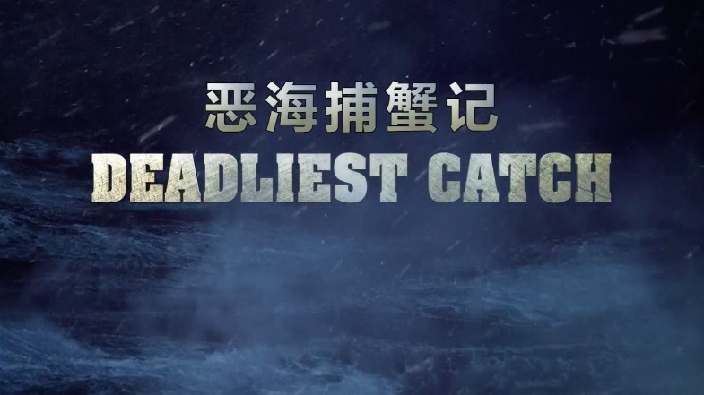 看完这些纪录片暑假过后你就是行走的百科全书