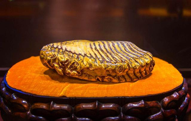 峨眉山古寺藏有42厘米的佛牙,网友:佛是巨人吗?专家:是真牙!