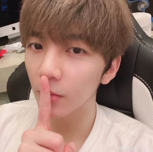 洪欣|洪欣晒与儿子张镐濂合照为考生加油，母子俩差29岁滤镜下竟像姐弟