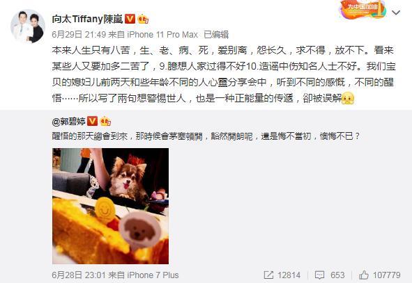 向佐|明明是“三人行”的婚姻，向佐却始终不能有姓名