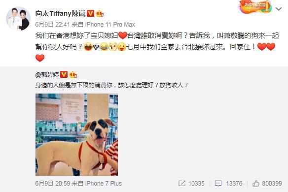 向佐|明明是“三人行”的婚姻，向佐却始终不能有姓名