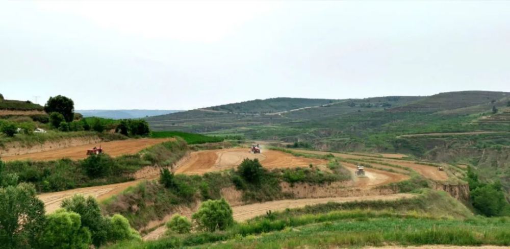 草庙乡5000亩紫花苜蓿种植工作有序推进 腾讯新闻