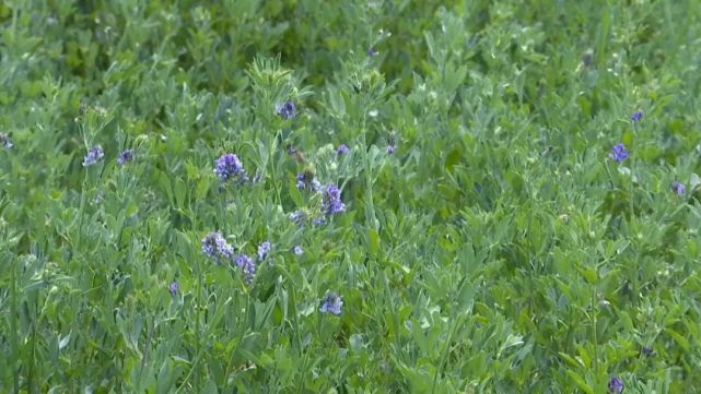 腾讯内容开放平台