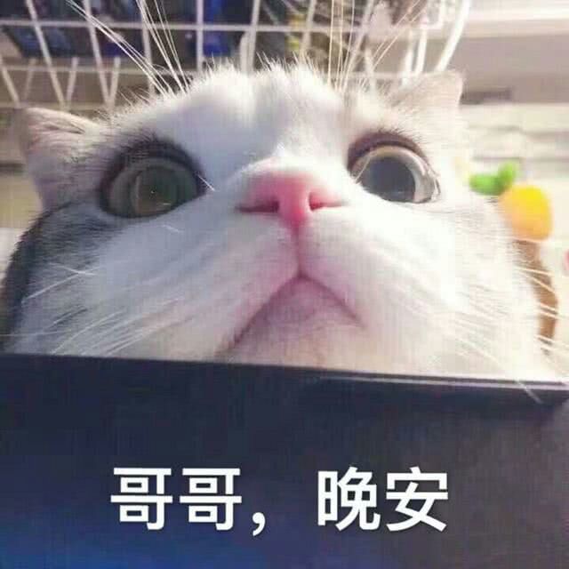 不说晚安扣10分表情包-千图网