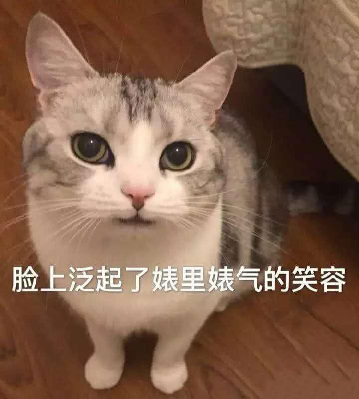 可愛表情包哥哥晚安