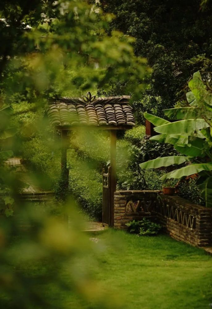 心灵鸡汤|風雅品格，是骨子裏的事