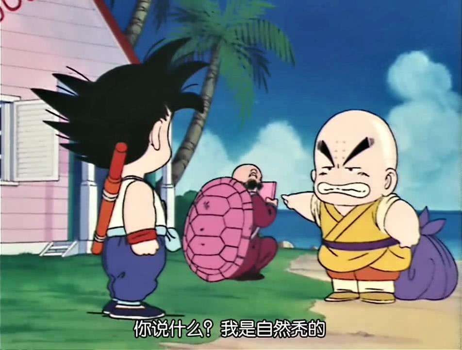 把七龙珠里不用龟派气功的龟仙人放到海贼王里是什么水平