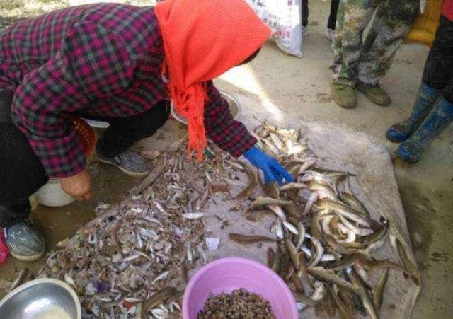 妻子为给丈夫过生日帮人杀鱼赚钱丈夫看到受伤的手后泪眼婆娑