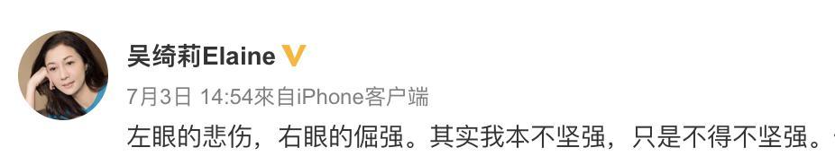 吴绮莉|46岁吴绮莉录视频吐露单亲母亲心声，与吴卓林关系不明朗母女欠沟通