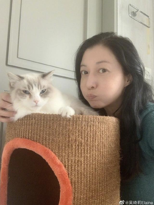 吴绮莉|46岁吴绮莉录视频吐露单亲母亲心声，与吴卓林关系不明朗母女欠沟通