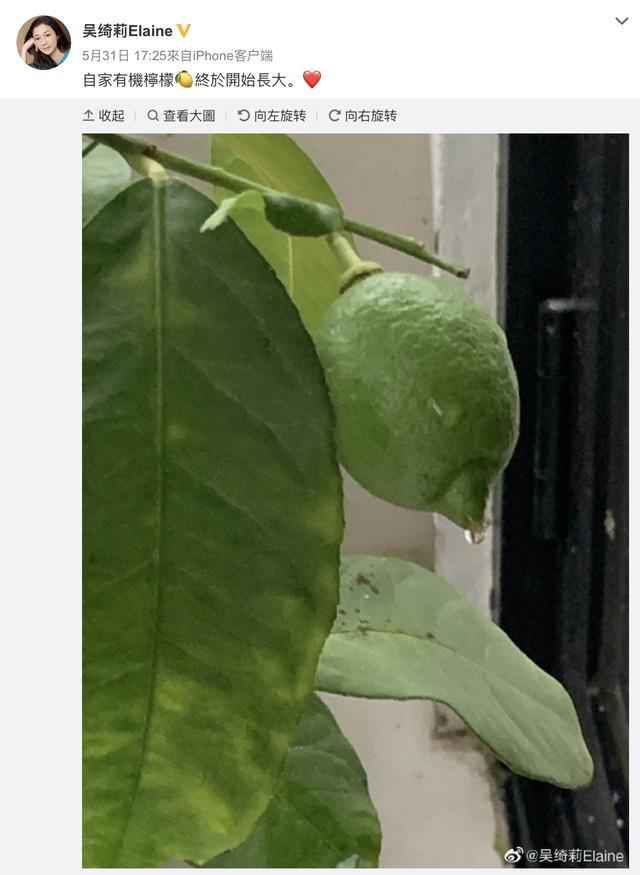 吴绮莉|46岁吴绮莉录视频吐露单亲母亲心声，与吴卓林关系不明朗母女欠沟通