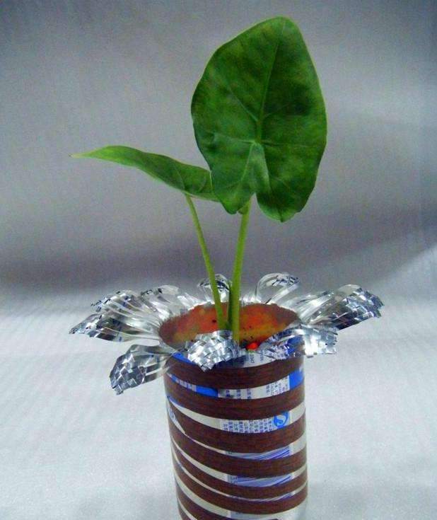 不花钱就变成漂亮的花盆,只需要使用易拉罐,便携简约又好看