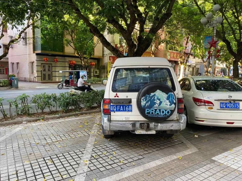 阳江交警一一查获,终现"原形"!