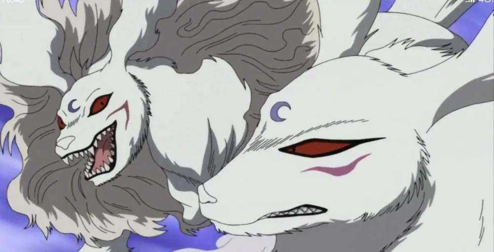 犬夜叉,犬大将的妻子凌月仙姬,为什么能容忍十六夜活着?