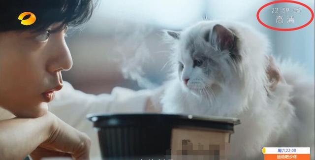 余生请多指教|《余生》又近一步？肖战新广告登湖南卫视，已3个平台播出透露信号很明显