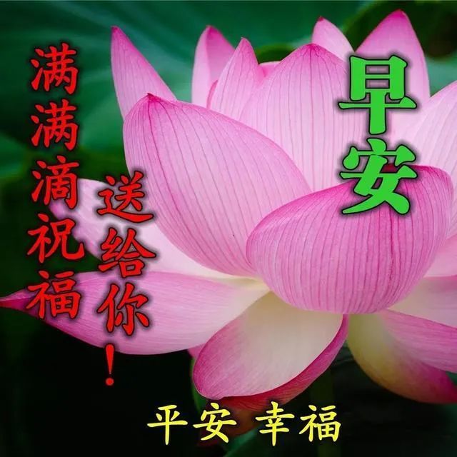 7月最好看的早上好问候朋友表情图片,早安祝福句子精选