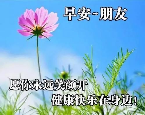 7月最好看的早上好问候朋友表情图片,早安祝福句子精选