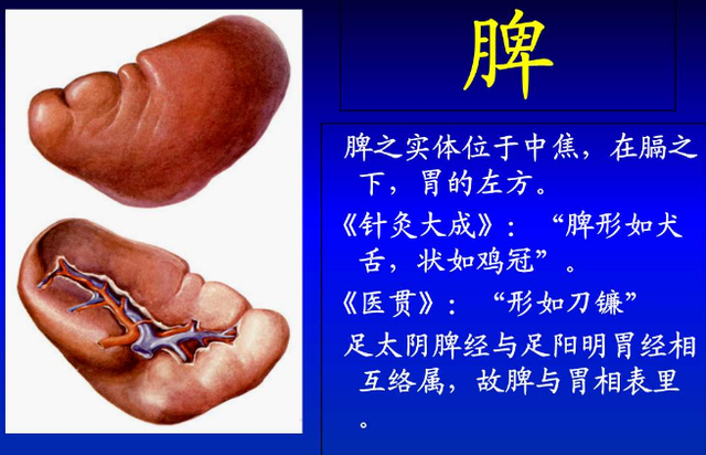 脾不好,身体和皮肤会"变丑"?三件"伤脾事",很多人表示改不了