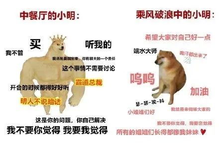 黄晓明|黄晓明历险记：去年夏天明学，今年浪学，《中餐厅4》又是什么学？