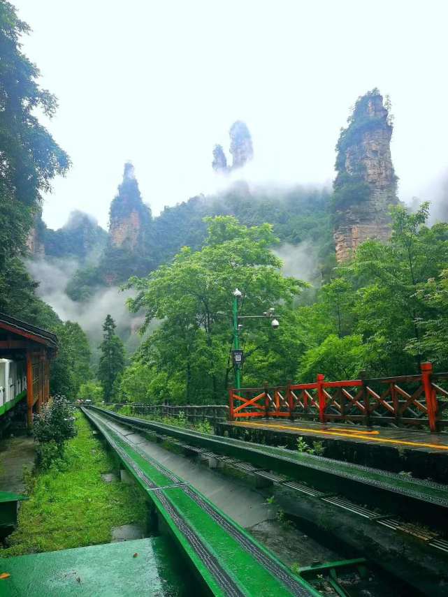 張家界十里畫廊雲霧繚繞峰林含黛