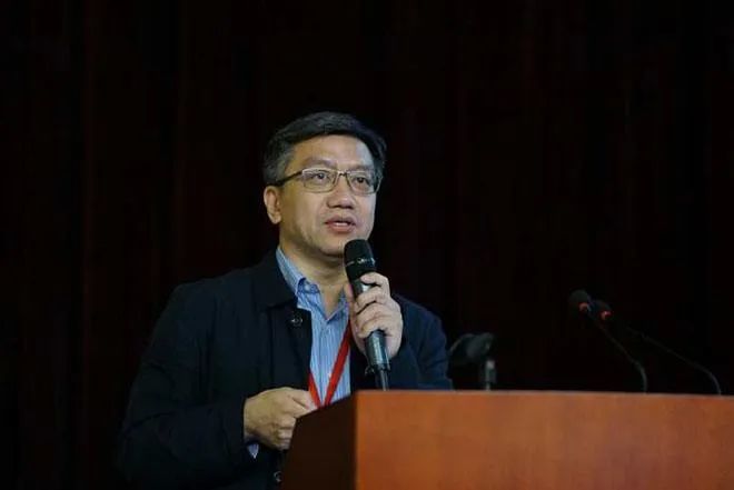 百奥赛图创始人沈月雷不停地奔跑何处是边界